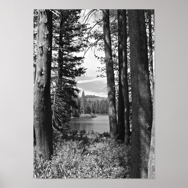 Poster Lac Mountain, Forêt, Noir et Blanc (portrait) (Devant)