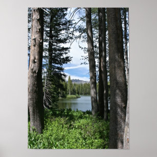Poster Lac mountain, forêt (portrait)