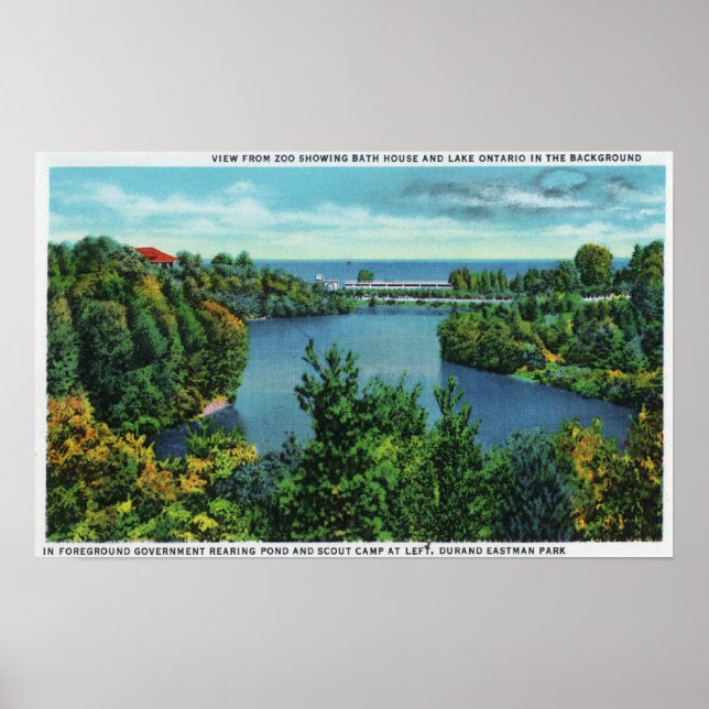 Poster Lac Ontario et Durand Eastman Park (Devant)