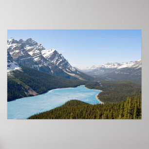 Poster Lac Peyto - Parc national de Banff, Alberta, Canad