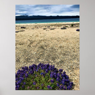 Poster Lac Simax Bay