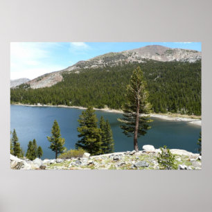 Poster Lac Tenaya dans le parc national de Yosemite