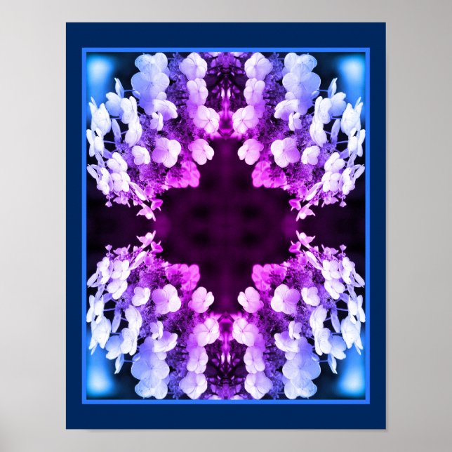 Poster Lacecap Hydrangea Noir Blanc teint Abstrait (Devant)