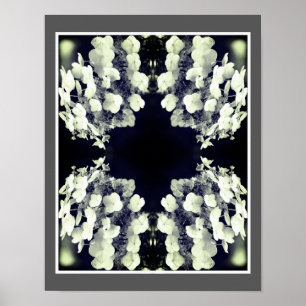 Poster Lacecap Hydrangea Noir Et Blanc Abstrait