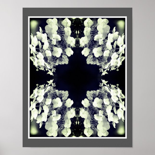 Poster Lacecap Hydrangea Noir Et Blanc Abstrait (Devant)