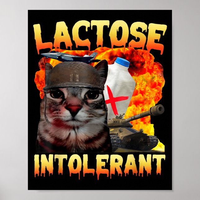 Poster Lactose Intolerant Silly Cat Meme Funny Saying Cat (Devant)