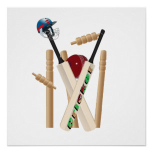 Poster Ladies Cricket The Game Allrounder,