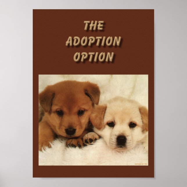 Poster L'adoption sera-t-elle votre première option ? (Devant)