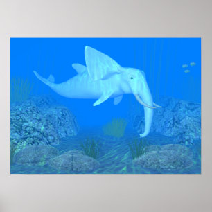 Poster L'adorable cordon