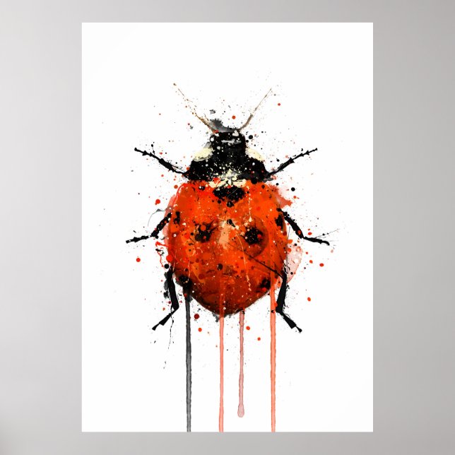 Poster Ladybug (Devant)