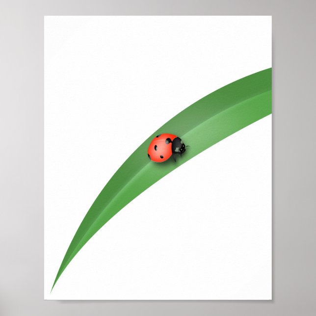 Poster Ladybug Leaf (Devant)