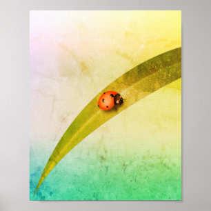 Poster Ladybug Leaf
