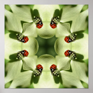 Poster Ladybug Sur Dogwood Abstrait Nature Mirror Art