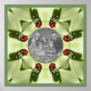 Poster Ladybug Sur Dogwood Nature Ajouter Votre Photo