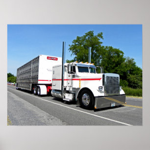 Poster L'affiche de Bontrager 379