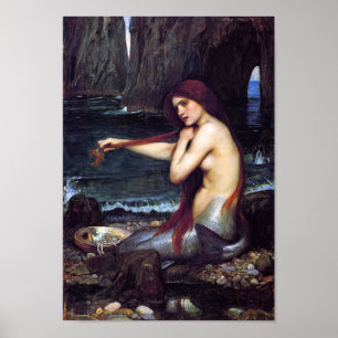 Poster L'affiche de la sirène