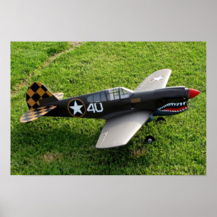Poster L'affiche de P-40 Warbird