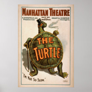 Poster L'affiche de VAUDEVILLE de jeu de la TORTUE de