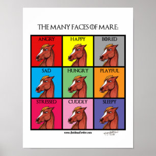 Poster L'affiche des multiples visages de Mare
