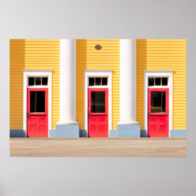 Poster L'affiche des portes (Devant)