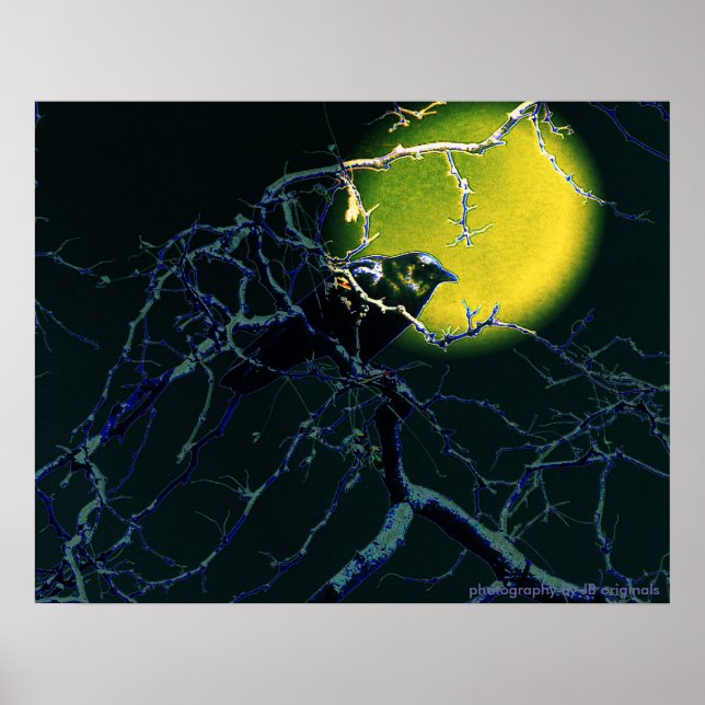 Poster L'affiche du Corbeau (Devant)