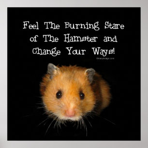 Poster L'affiche du hamster