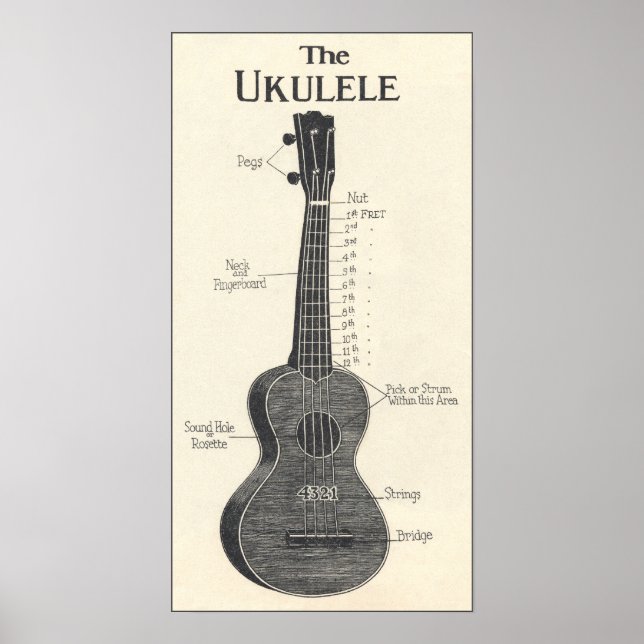 Poster L'affiche d'Ukulele (Devant)