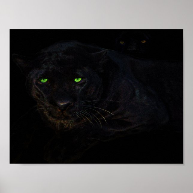 Poster L'affiche en panthère noire (Devant)