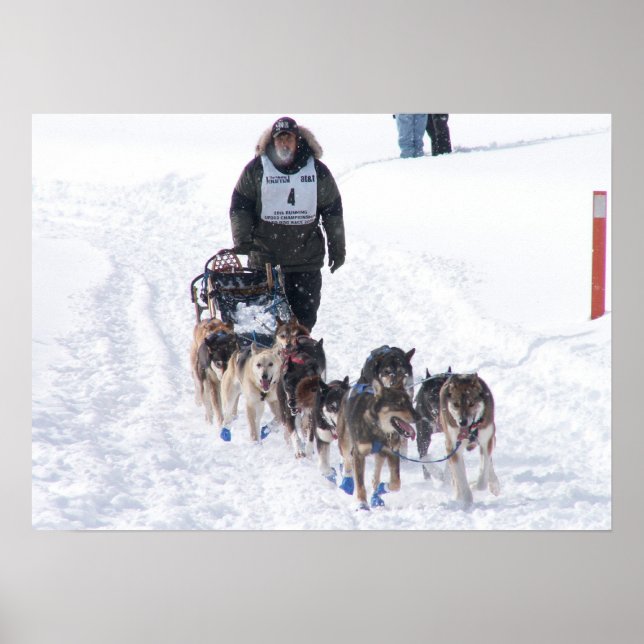Poster L'affiche finale de l'étirement (Devant)