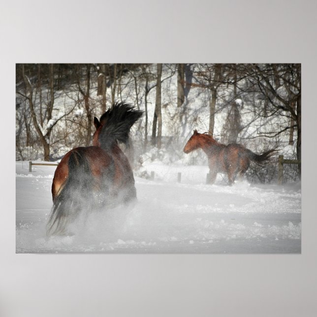 Poster L'affiche hivernale du Cheval de Chase (Devant)