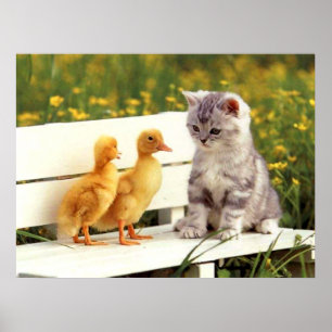 Poster L'affiche laide de canard