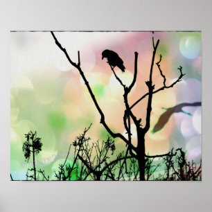 Poster L'affiche Lonely Crow