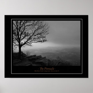Poster L'affiche Pinnacle