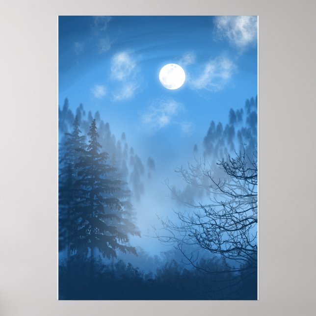 Poster L'affiche Silent Canopy (Devant)