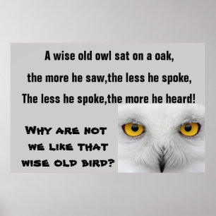 Poster L'affiche WISE OLD OWL