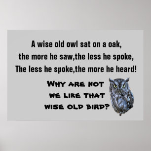 Poster L'affiche WISE OLD OWL