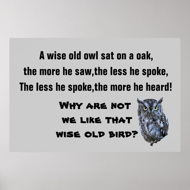 Poster L'affiche WISE OLD OWL (Devant)