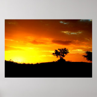 Poster L'Afrique dort