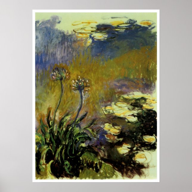 Poster L'Agapanthus (Devant)