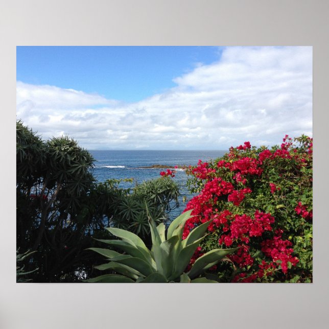 Poster Laguna Beach Vue sur l'océan (Devant)