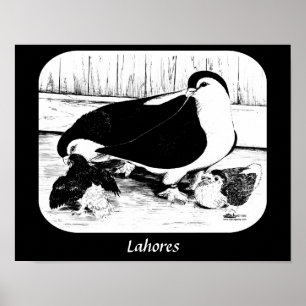Poster Lahores 1980
