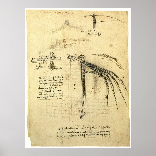 Poster L'aile de Léonard de Vinci sur la machine volante  (Devant)