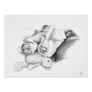 Poster Laisser Dormir Des Chiens Mentir