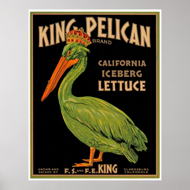 Poster Laitue de marque King Pelican (Devant)