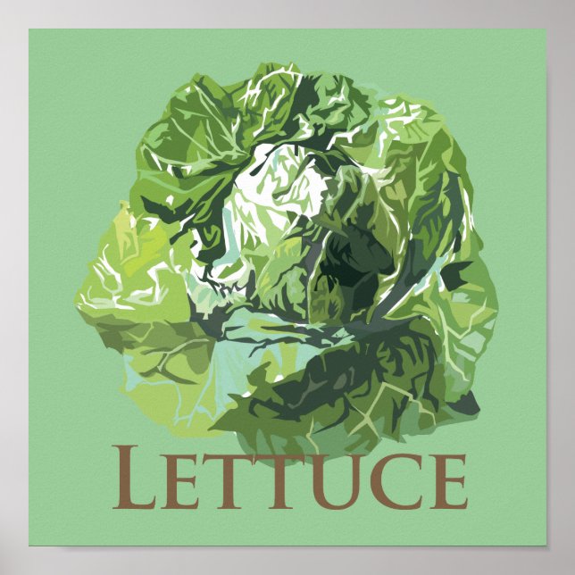 Poster Laitue feuilletée (Devant)