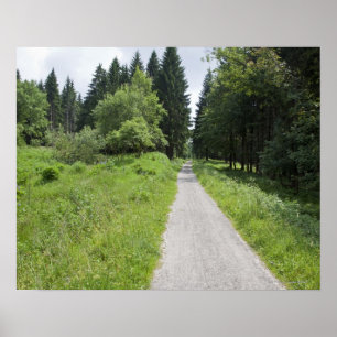 Poster L'Allemagne, Thuringe, chemin dans la forêt