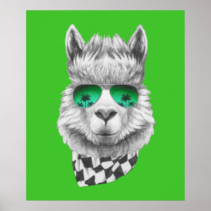 Poster lama de Californie
