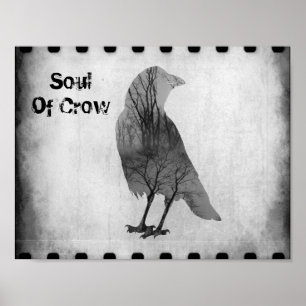 Poster L'Âme Du Corbeau