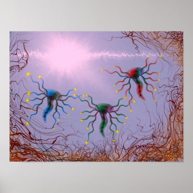 Poster Laminate (Devant)