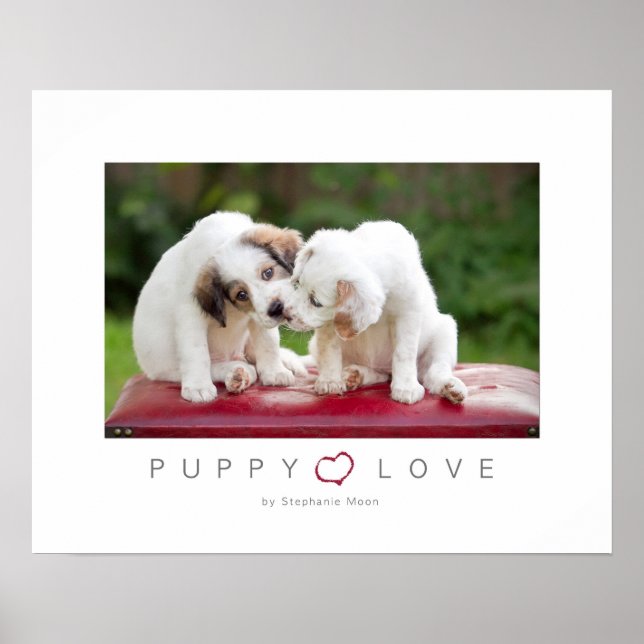 Poster L'amour des chiots (Devant)